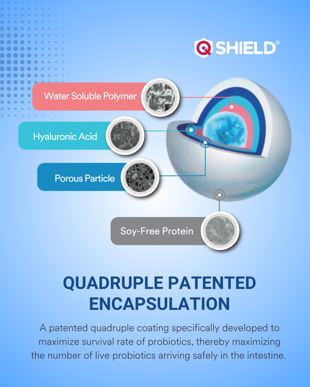 MIRIQA® Dermabiotics™ (Clinic-Exclusive)