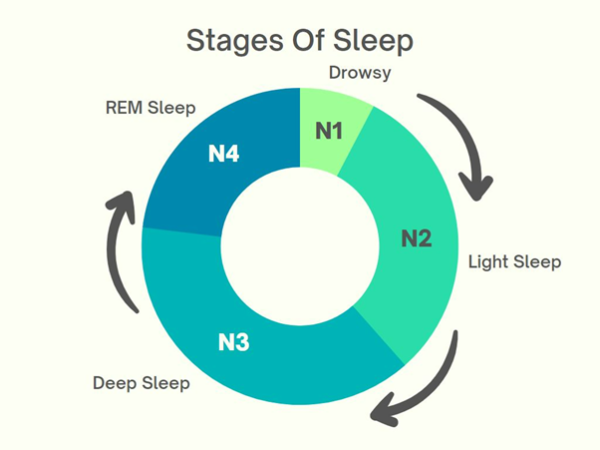 Stages of Sleep