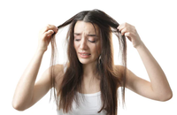 Uncover the Truth About Hair Thinning: Saw Palmetto Berries in Scalp Treatment